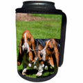 3dRose Basset Hounds playing with a stick, MR - Can Cooler Bottle Wrap (cc_258211)