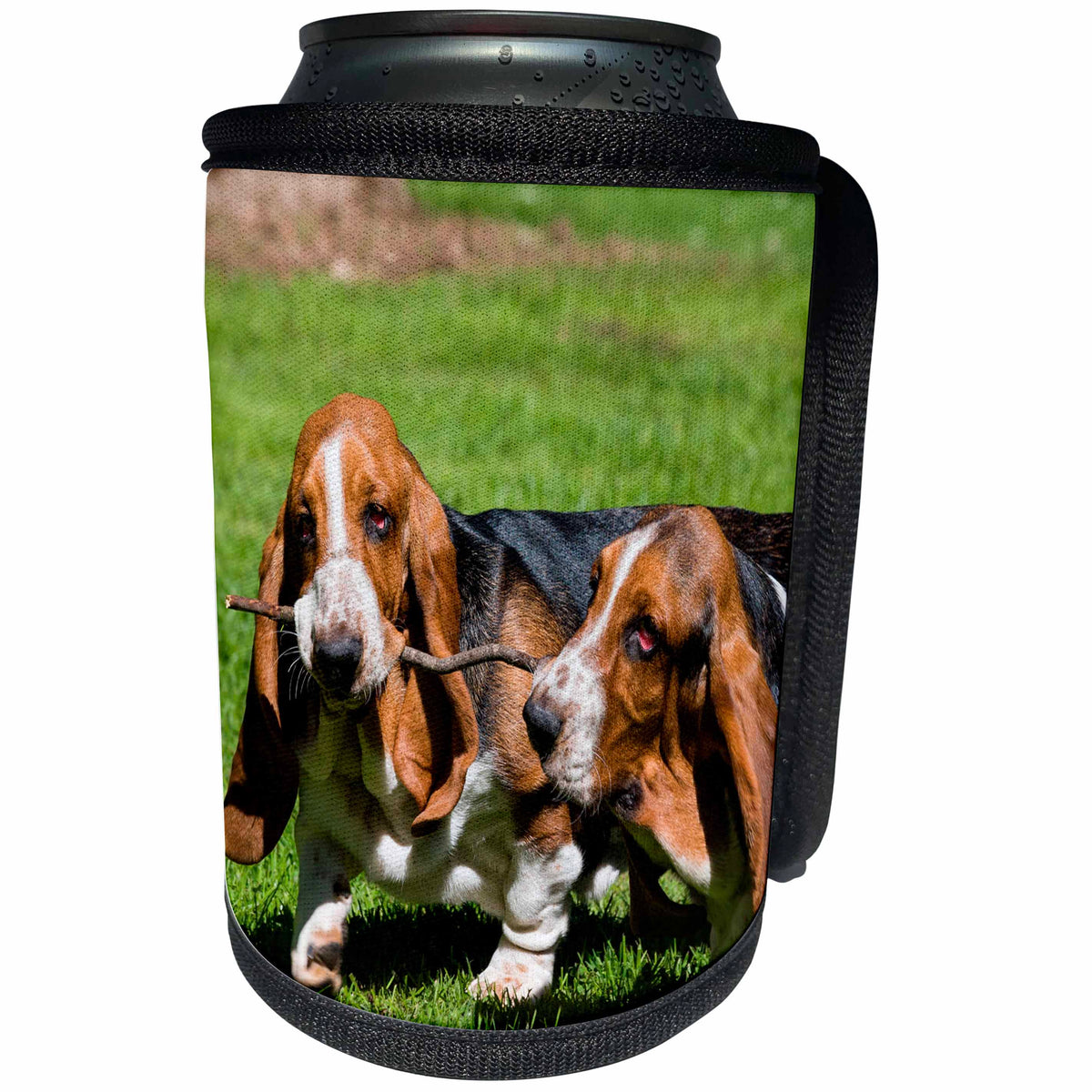3dRose Basset Hounds playing with a stick, MR - Can Cooler Bottle Wrap (cc_258211)