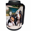 3dRose Danita Delimont - Puppies - Curious Basset Hound Puppies on some rocks - Can Cooler Bottle Wrap (cc_258212)