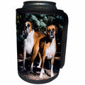 3dRose Danita Delimont - Dogs - Boxers standing in forest - Can Cooler Bottle Wrap (cc_258217)