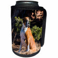 3dRose Danita Delimont - Dogs - Boxer sitting in dried grasses - Can Cooler Bottle Wrap (cc_258219)