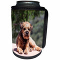 3dRose Danita Delimont - Dogs - Border Terrier resting in a garden - Can Cooler Bottle Wrap (cc_258225)