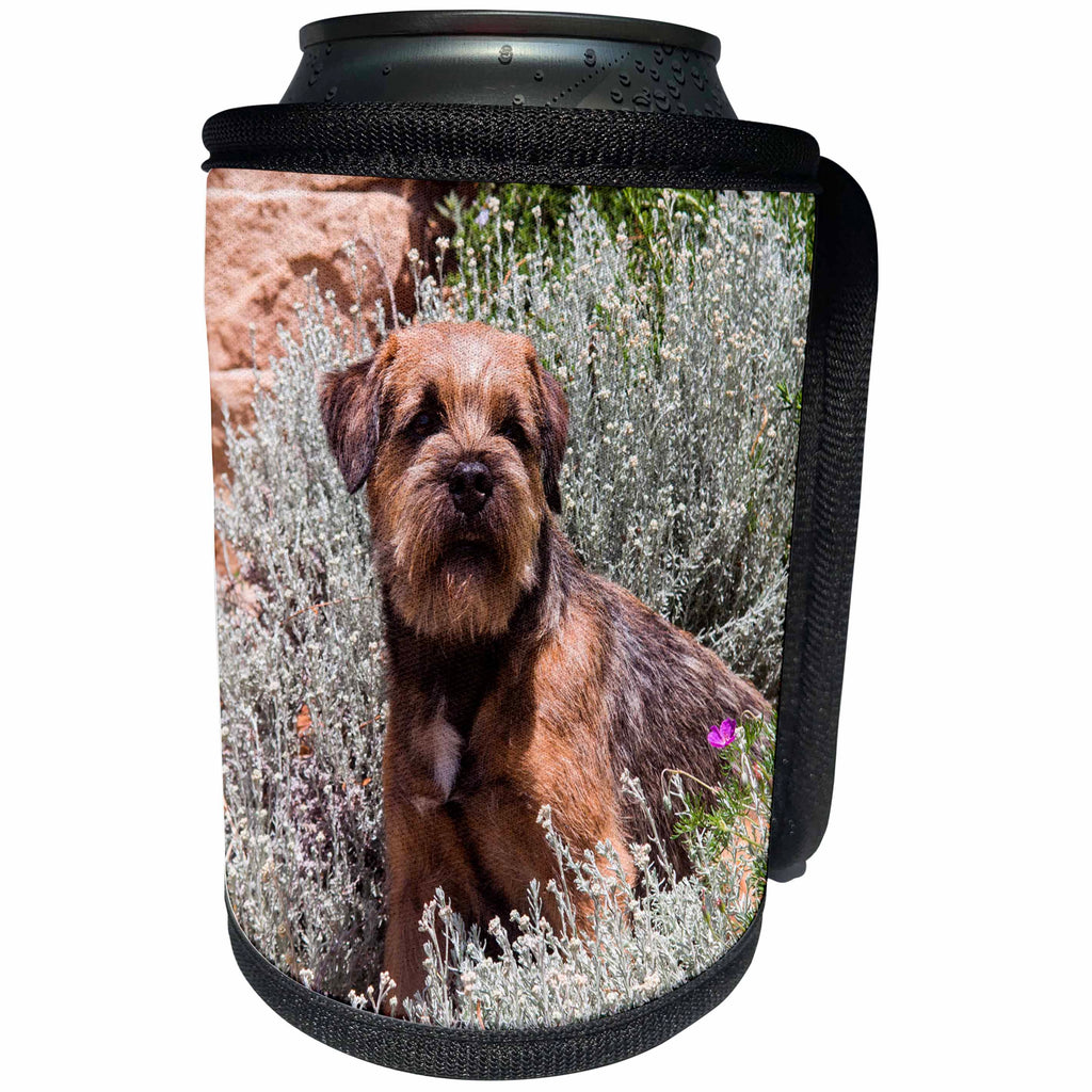 3dRose Danita Delimont - Dogs - Border Terrier hiding in the garden - Can Cooler Bottle Wrap (cc_258226)