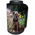 3dRose Danita Delimont - Dogs - Border Terrier in a garden, MR - Can Cooler Bottle Wrap (cc_258227)