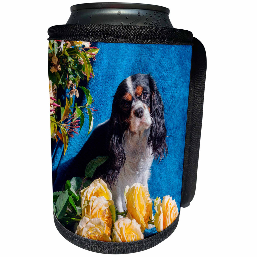 3dRose Danita Delimont - Dogs - Cavalier posing with roses, MR - Can Cooler Bottle Wrap (cc_258231)