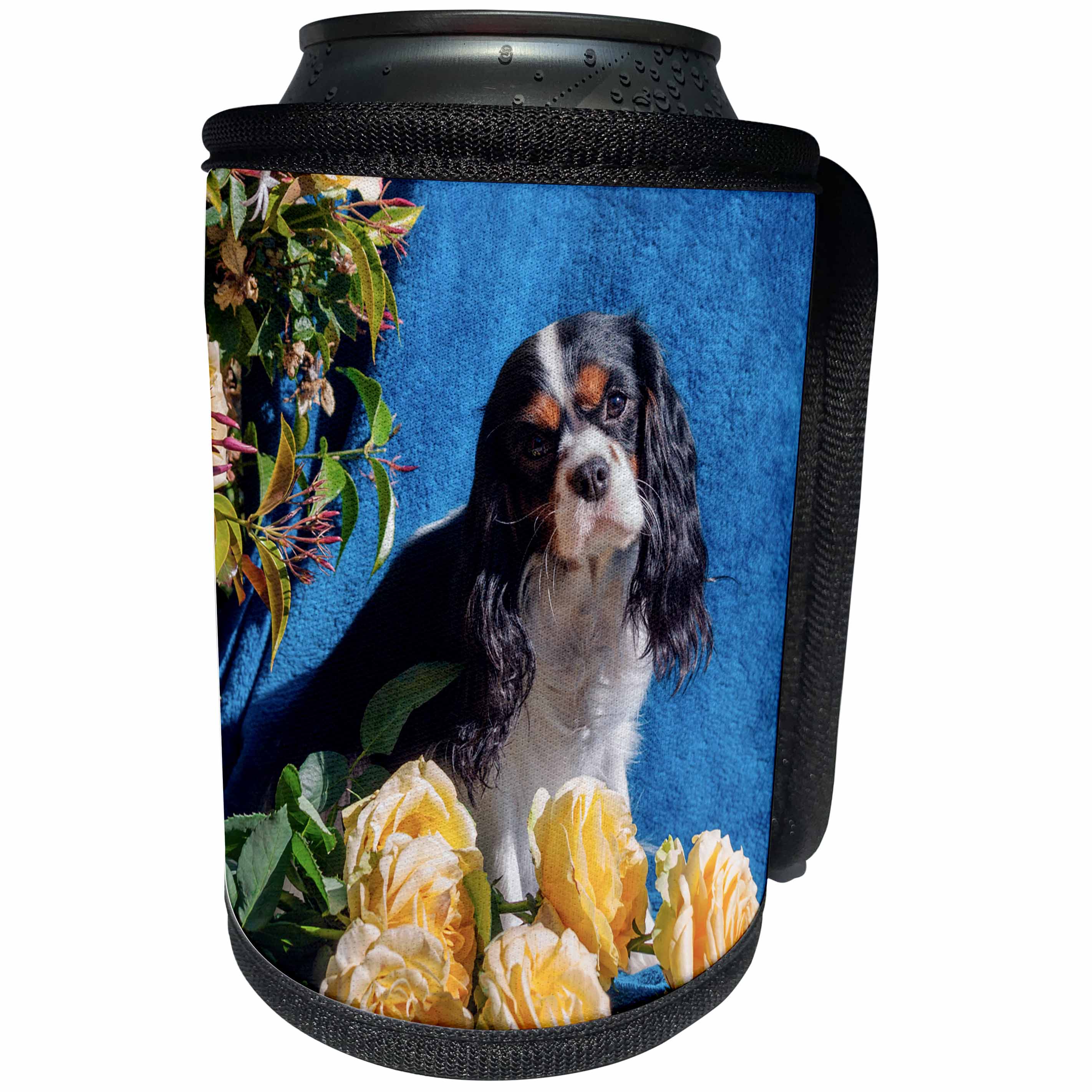 3dRose Danita Delimont - Dogs - Cavalier posing with roses, MR - Can Cooler Bottle Wrap (cc_258231)