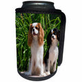 3dRose Danita Delimont - Dogs - Cavaliers sitting on patio, MR - Can Cooler Bottle Wrap (cc_258235)