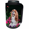3dRose Danita Delimont - Dogs - Cavalier sitting in a flowerbed, MR - Can Cooler Bottle Wrap (cc_258240)