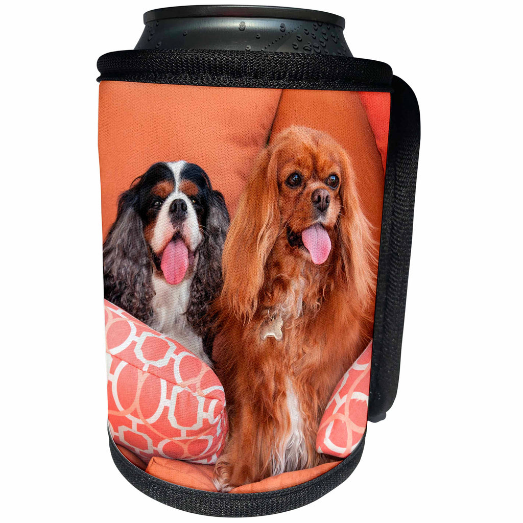 3dRose Danita Delimont - Dogs - Cavaliers on pillows, MR - Can Cooler Bottle Wrap (cc_258242)