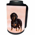 3dRose Danita Delimont - Dogs - Doxen looks at the camera, Lake Powell, MR - Can Cooler Bottle Wrap (cc_258274)
