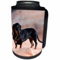 3dRose Danita Delimont - Dogs - Doxen, Lake Powell, MR - Can Cooler Bottle Wrap (cc_258275)