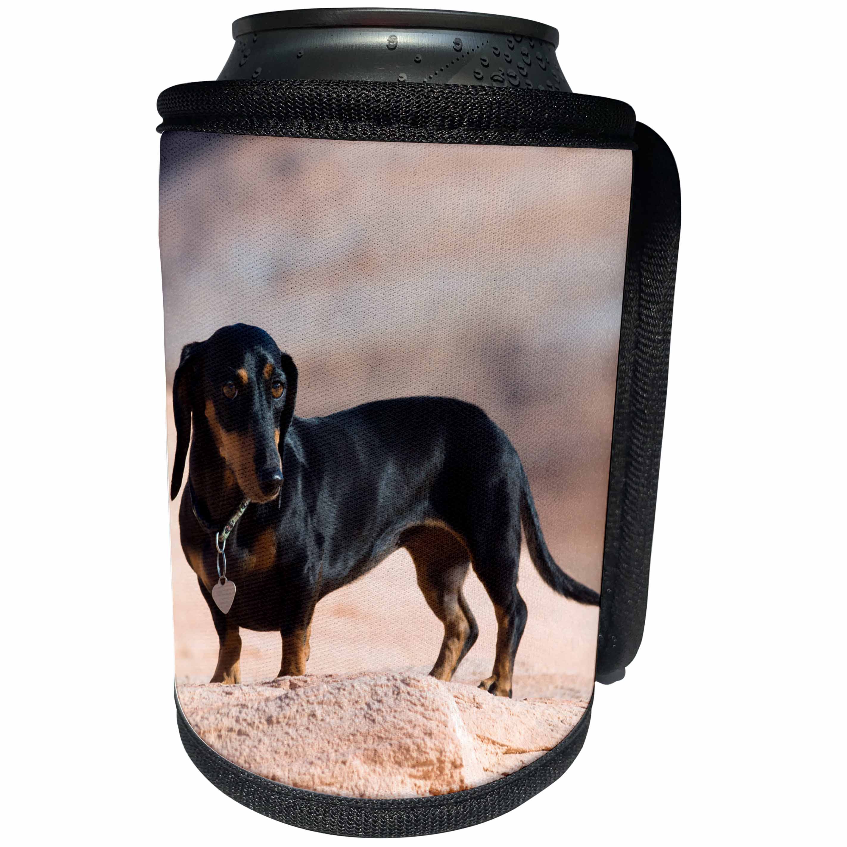 3dRose Danita Delimont - Dogs - Doxen, Lake Powell, MR - Can Cooler Bottle Wrap (cc_258275)