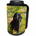 3dRose Danita Delimont - Dogs - Doxen sitting in Springtime flowers, MR - Can Cooler Bottle Wrap (cc_258276)