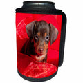 3dRose Danita Delimont - Dogs - Doxen Puppy in red - Can Cooler Bottle Wrap (cc_258278)