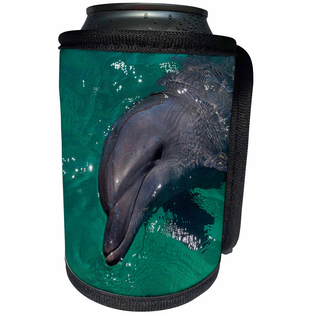 3dRose Danita Delimont - Dolphins - Dolphin in the harbor of Honiara, Solomon Islands - Can Cooler Bottle Wrap (cc_258284)