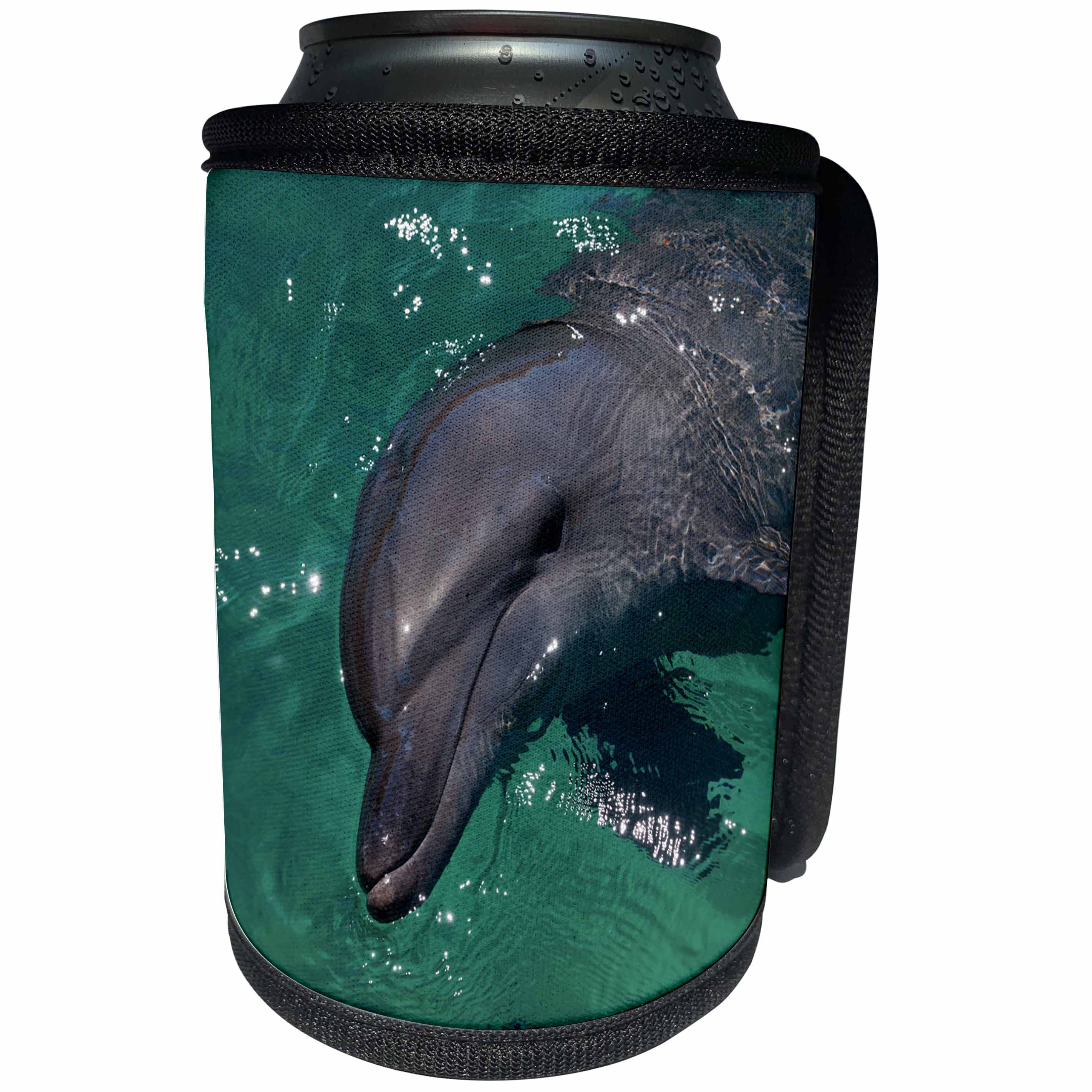 3dRose Danita Delimont - Dolphins - Dolphin in the harbor of Honiara, Solomon Islands - Can Cooler Bottle Wrap (cc_258284)