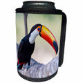 3dRose Danita Delimont - Birds - Brazil, Mato Grosso, The Pantanal, Toco toucan on a tree limb. - Can Cooler Bottle Wrap (cc_258304)