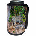 3dRose Danita Delimont - Jaguar - Brazil, Mato Grosso, The Pantanal. Jaguar looking out from jungle. - Can Cooler Bottle Wrap (cc_258307)