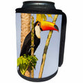3dRose Danita Delimont - Birds - Brazil, Mato Grosso, The Pantanal, A toco toucan in a papaya tree. - Can Cooler Bottle Wrap (cc_258310)