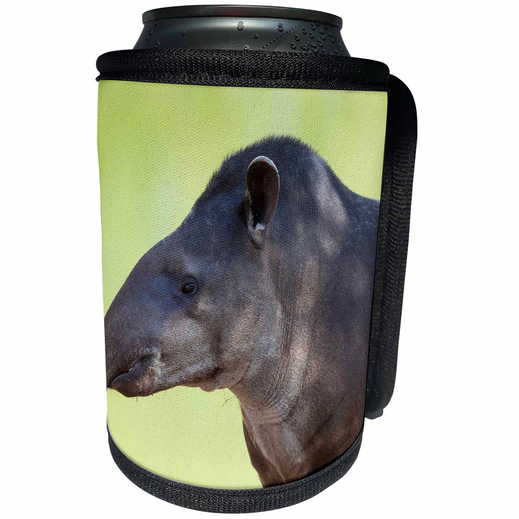 3dRose Danita Delimont - Tapir - Brazil, Mato Grosso, Cuiaba, Brazilian tapir portrait. - Can Cooler Bottle Wrap (cc_258311)