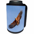 3dRose Danita Delimont - Birds of prey - Brazil, Mato Grosso, The Pantanal. Black-collared hawk in flight. - Can Cooler Bottle Wrap (cc_258314)