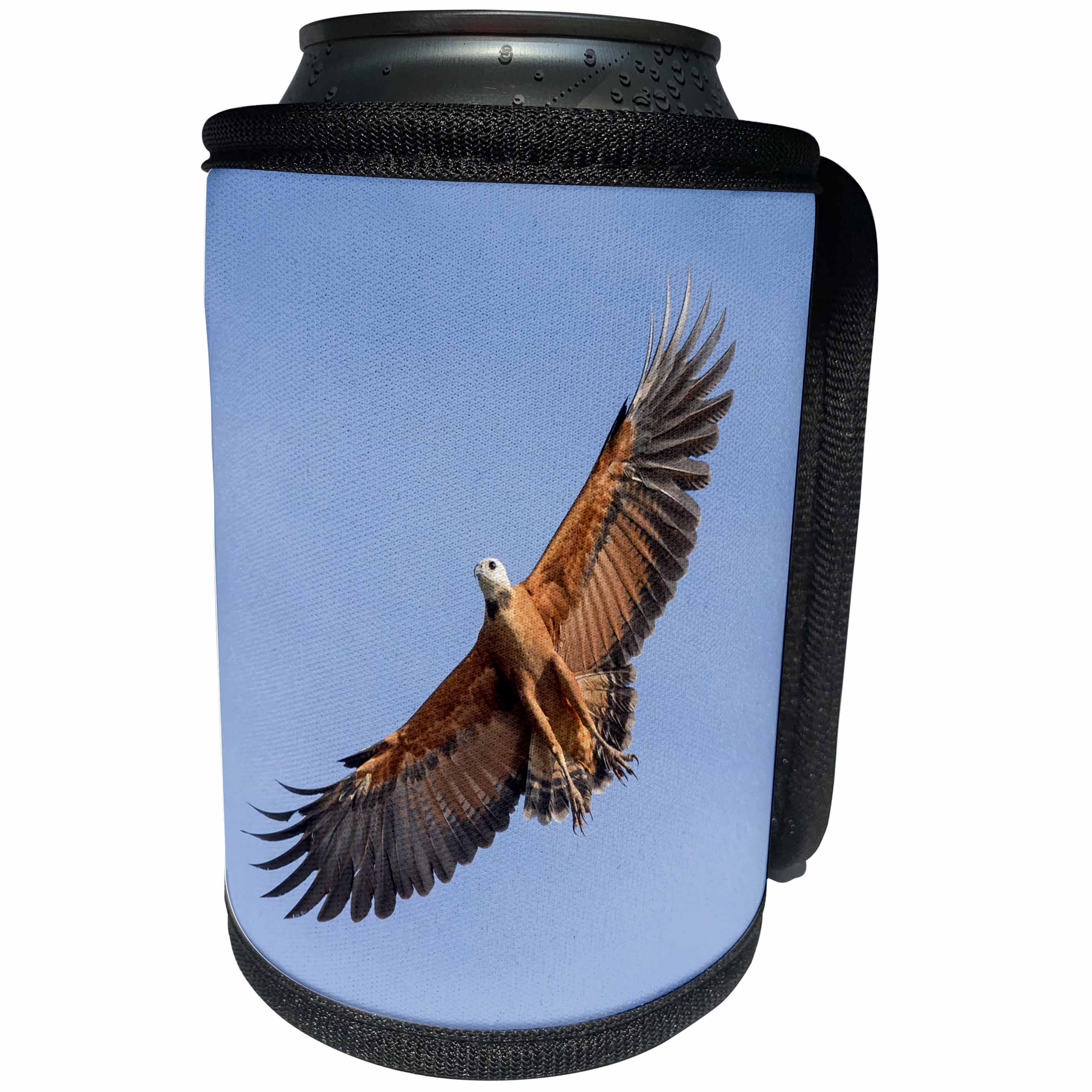3dRose Danita Delimont - Birds of prey - Brazil, Mato Grosso, The Pantanal. Black-collared hawk in flight. - Can Cooler Bottle Wrap (cc_258314)