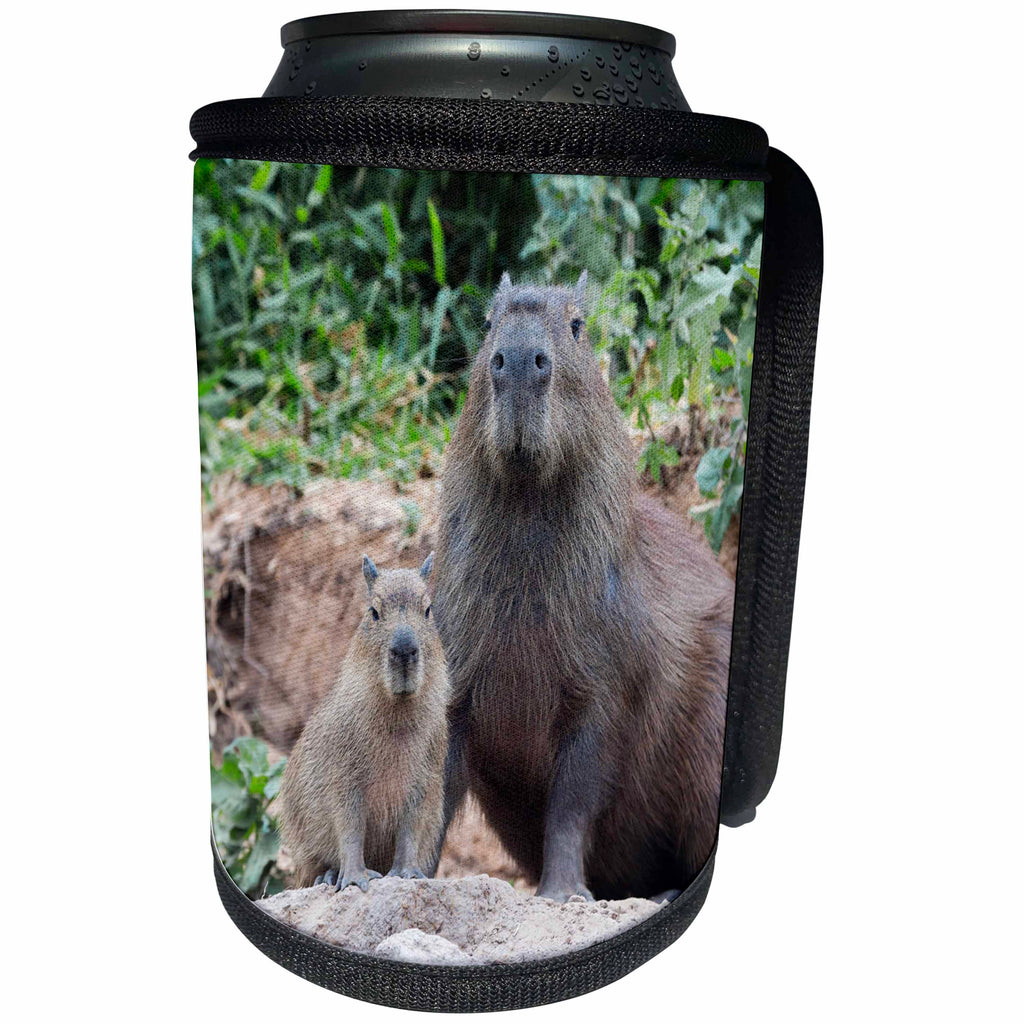 3dRose Danita Delimont - Rodents - Brazil, Mato Grosso, The Pantanal. Capybara with its young. - Can Cooler Bottle Wrap (cc_258317)