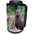 3dRose Danita Delimont - Rodents - Brazil, Mato Grosso, The Pantanal. Capybara with its young. - Can Cooler Bottle Wrap (cc_258317)