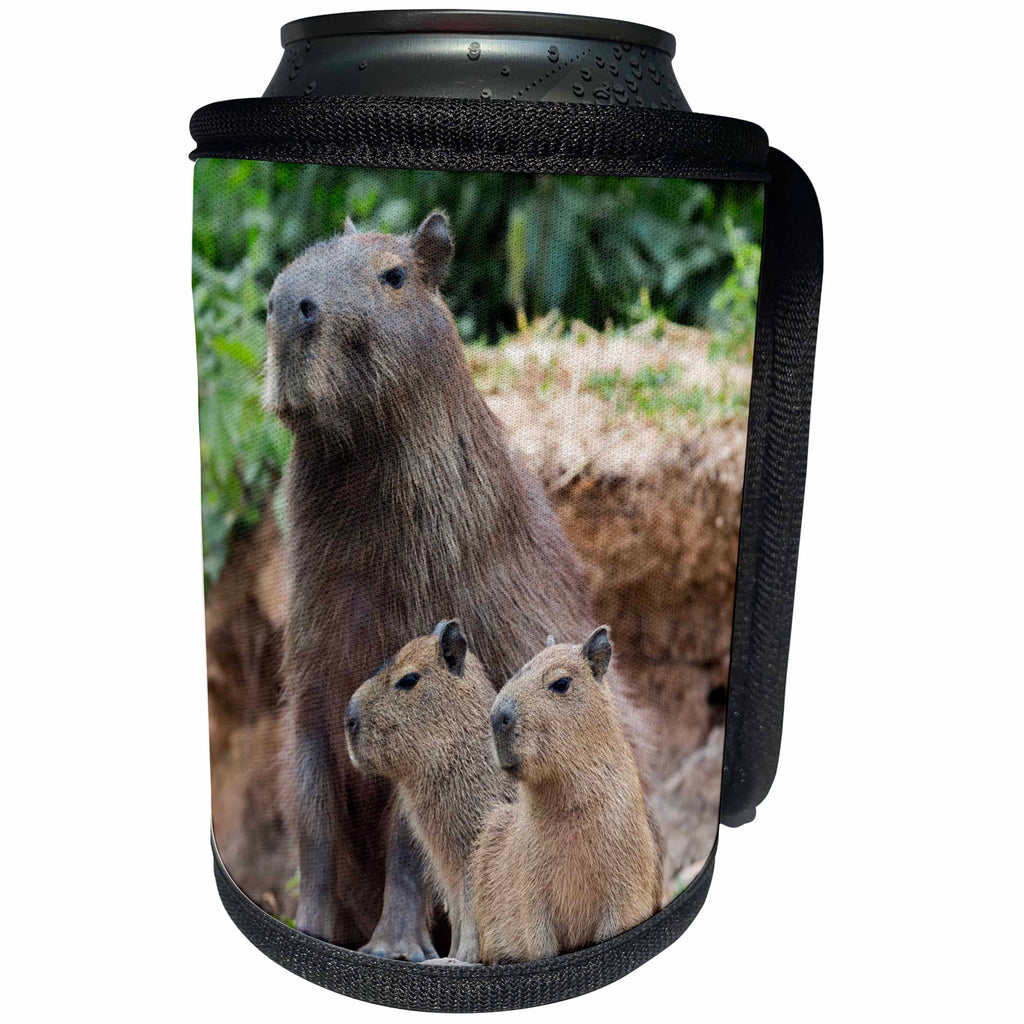 3dRose Danita Delimont - Rodents - Brazil, Mato Grosso, The Pantanal. Capybara sitting with its young. - Can Cooler Bottle Wrap (cc_258318)