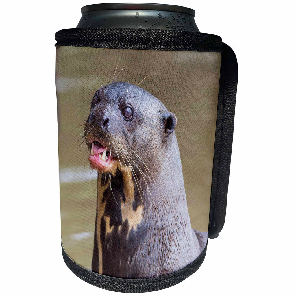 3dRose Danita Delimont - Otters - Brazil, Mato Grosso, The Pantanal. Giant river otter portrait. - Can Cooler Bottle Wrap (cc_258319)