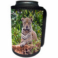 3dRose Danita Delimont - Jaguar - Brazil, Mato Grosso, The Pantanal. Jaguar resting on the bank. - Can Cooler Bottle Wrap (cc_258323)