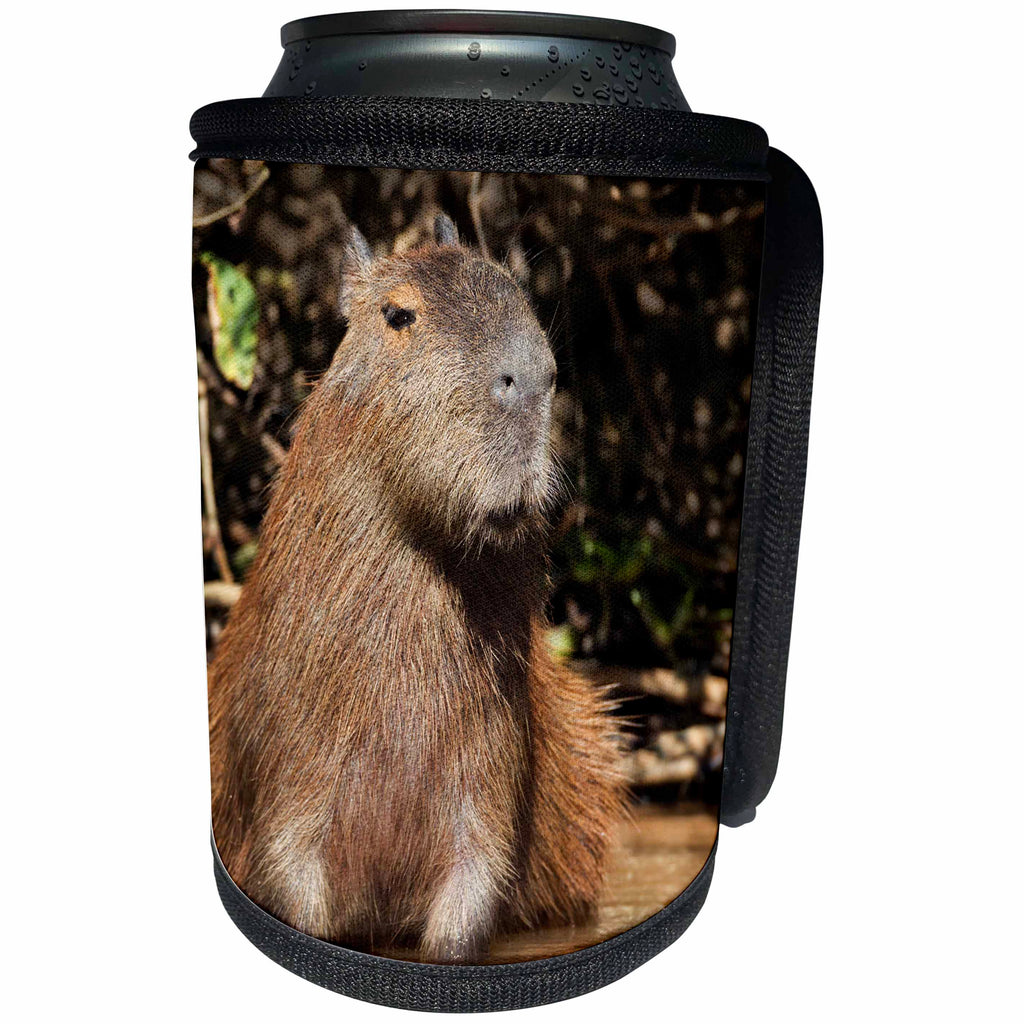3dRose Danita Delimont - Rodents - Brazil, Mato Grosso, The Pantanal. Capybara sitting in water. - Can Cooler Bottle Wrap (cc_258326)
