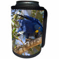 3dRose Danita Delimont - Birds - Brazil, Mato Grosso, The Pantanal. Hyacinth macaw on tree branch. - Can Cooler Bottle Wrap (cc_258327)