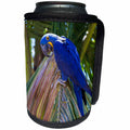 3dRose Danita Delimont - Birds - Brazil, Mato Grosso, The Pantanal. Hyacinth macaw on palm branch. - Can Cooler Bottle Wrap (cc_258330)