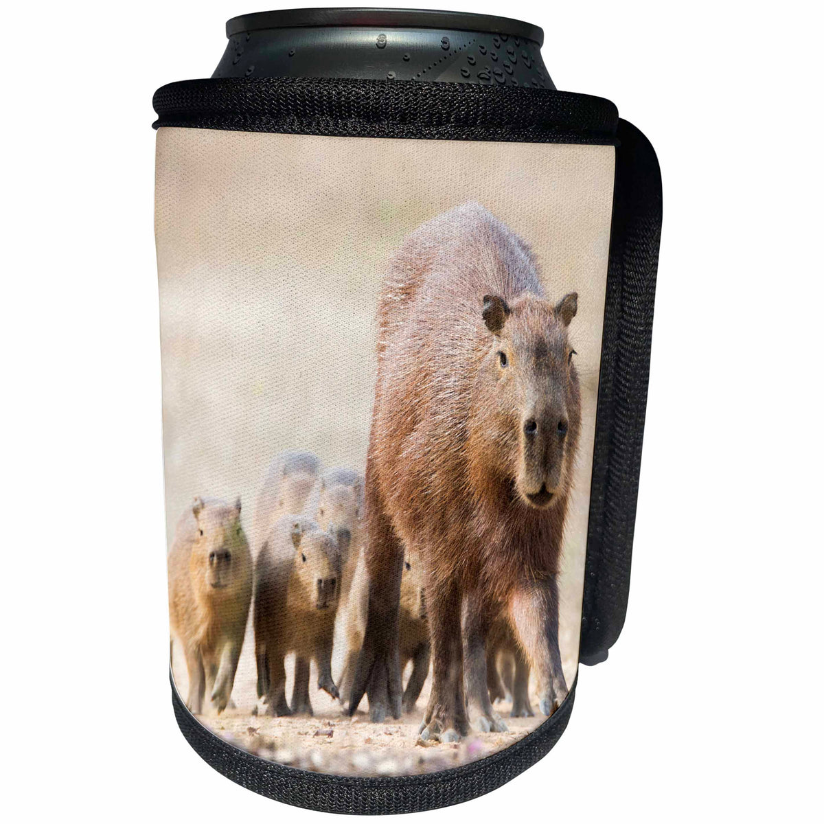 3dRose Danita Delimont - Rodents - Brazil, Mato Grosso, The Pantanal. Capybara female with young. - Can Cooler Bottle Wrap (cc_258333)