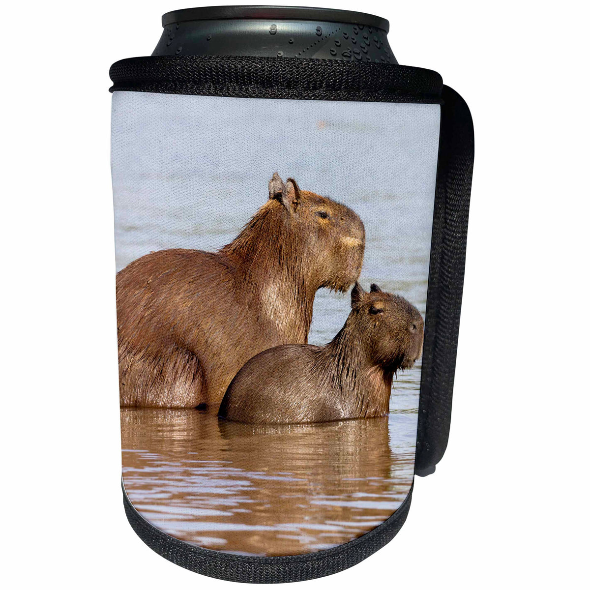 3dRose Danita Delimont - Rodents - Brazil, The Pantanal, Adult capybara and young in the Rio Cuiaba. - Can Cooler Bottle Wrap (cc_258339)