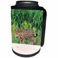 3dRose Danita Delimont - Jaguar - Brazil, Mato Grosso, The Pantanal, Jaguar walking along the beach. - Can Cooler Bottle Wrap (cc_258340)
