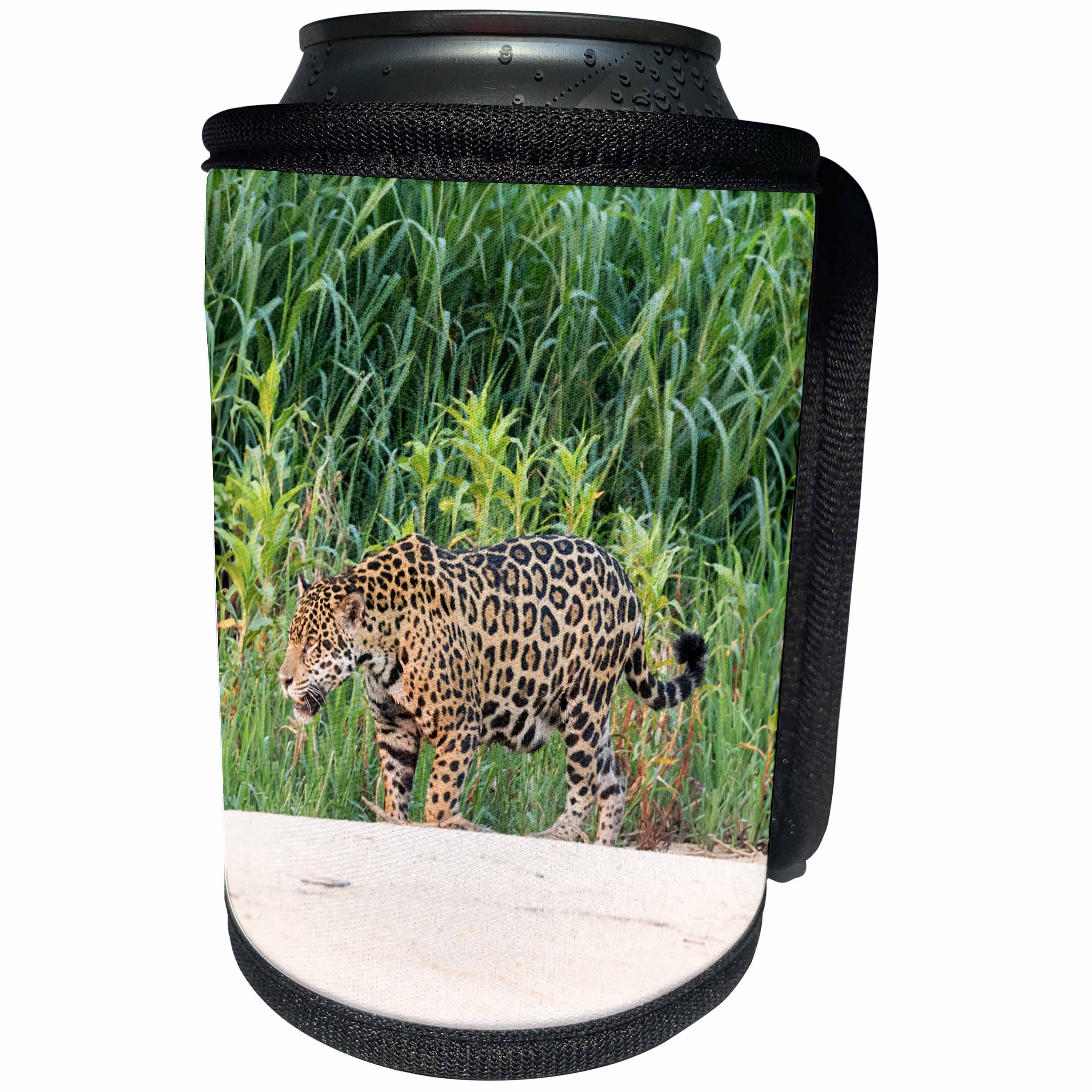 3dRose Danita Delimont - Jaguar - Brazil, Mato Grosso, The Pantanal, Jaguar walking along the beach. - Can Cooler Bottle Wrap (cc_258340)