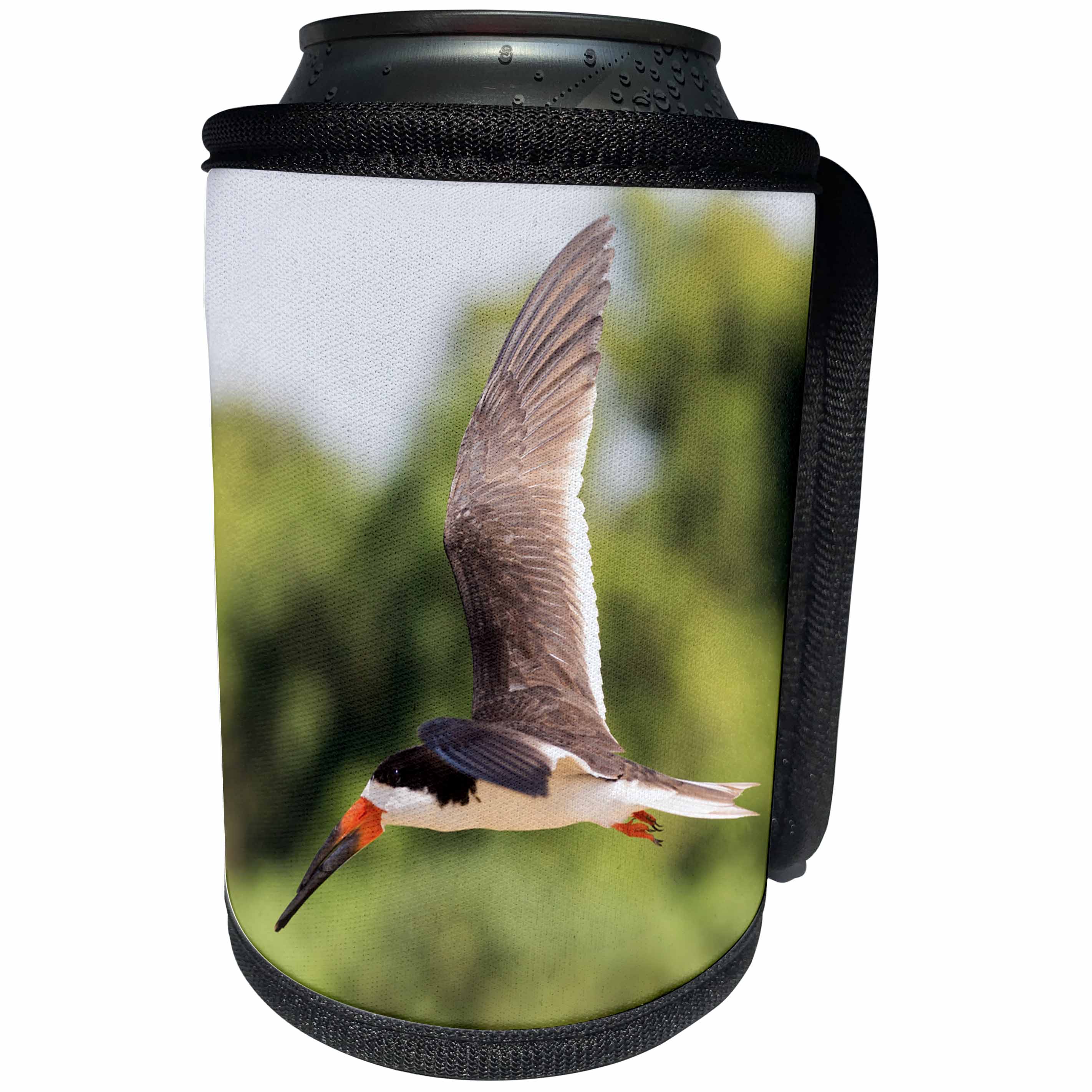 3dRose Danita Delimont - Birds - Brazil, Mato Grosso, The Pantanal. Black skimmer in flight. - Can Cooler Bottle Wrap (cc_258342)