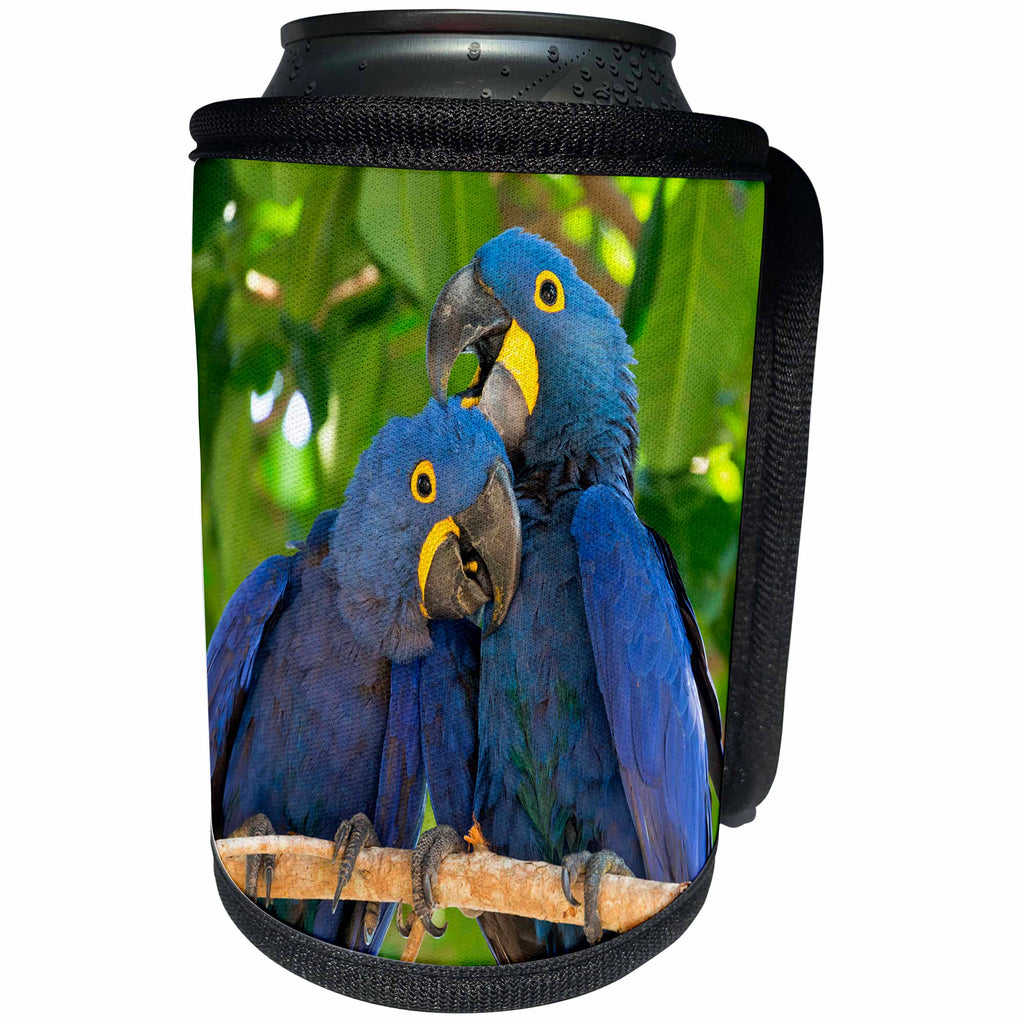 3dRose Danita Delimont - Birds - Brazil, Mato Grosso, The Pantanal. Pair of hyacinth macaws cuddling. - Can Cooler Bottle Wrap (cc_258346)
