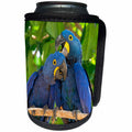 3dRose Danita Delimont - Birds - Brazil, Mato Grosso, The Pantanal. Pair of hyacinth macaws cuddling. - Can Cooler Bottle Wrap (cc_258346)