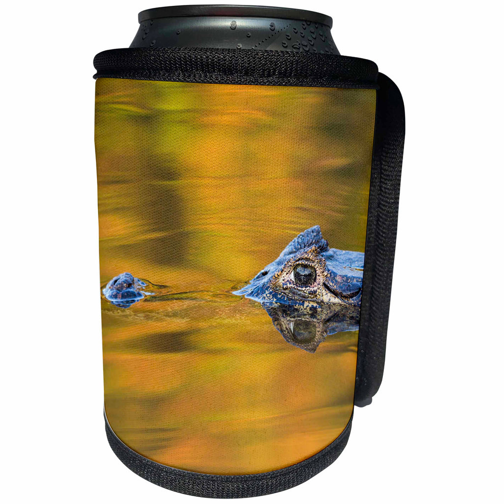 3dRose Danita Delimont - Reptiles - Brazil, Mato Grosso, The Pantanal, Black caiman in reflective water. - Can Cooler Bottle Wrap (cc_258347)