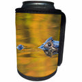 3dRose Danita Delimont - Reptiles - Brazil, Mato Grosso, The Pantanal, Black caiman in reflective water. - Can Cooler Bottle Wrap (cc_258347)