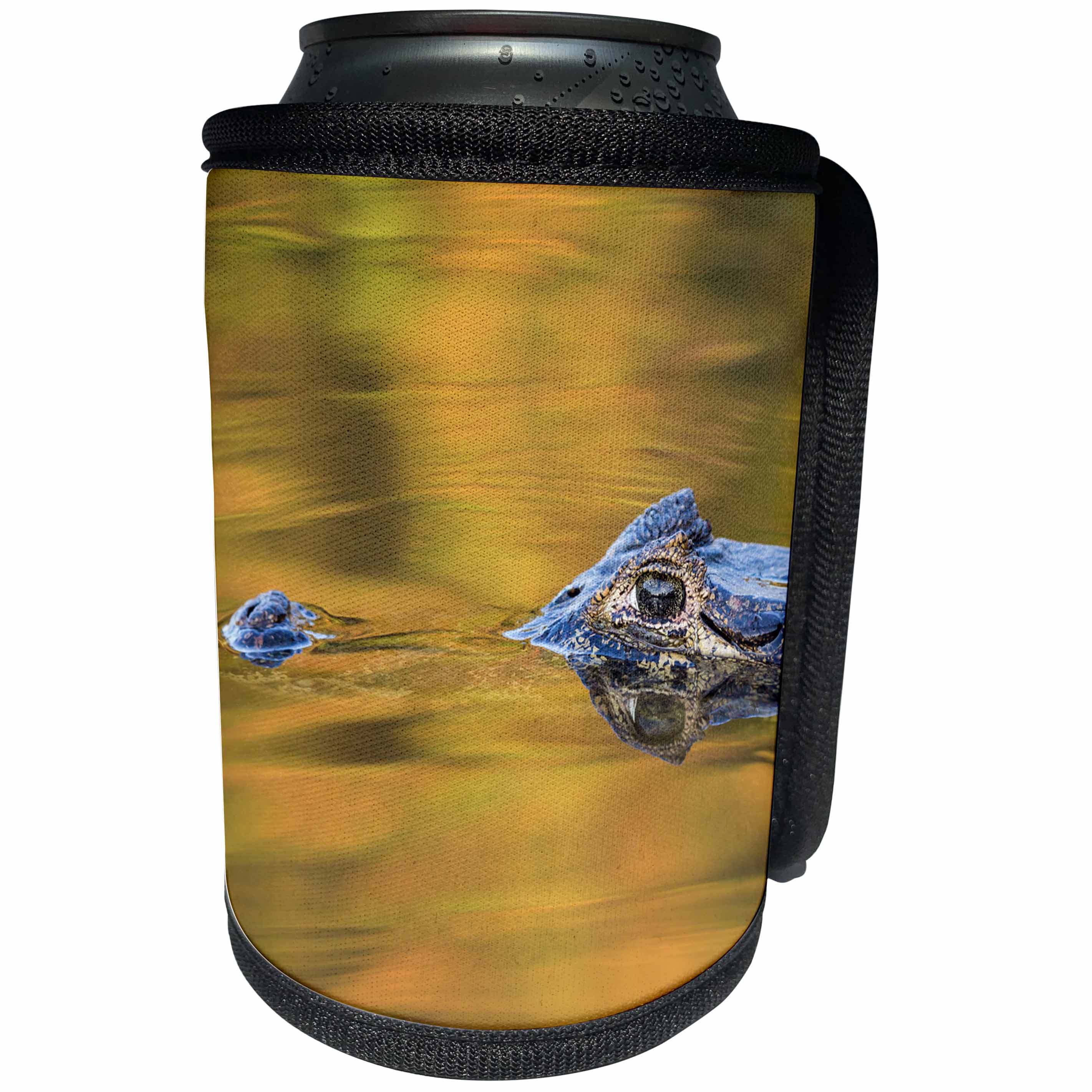 3dRose Danita Delimont - Reptiles - Brazil, Mato Grosso, The Pantanal, Black caiman in reflective water. - Can Cooler Bottle Wrap (cc_258347)