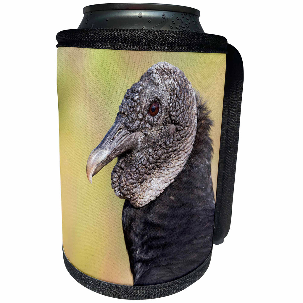 3dRose Danita Delimont - Birds - Brazil, Mato Grosso, The Pantanal, black vulture, Coragyps atratus. - Can Cooler Bottle Wrap (cc_258359)