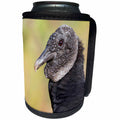 3dRose Danita Delimont - Birds - Brazil, Mato Grosso, The Pantanal, black vulture, Coragyps atratus. - Can Cooler Bottle Wrap (cc_258359)