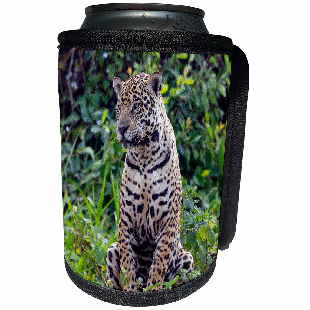 3dRose Danita Delimont - Jaguar - Brazil, Mato Grosso, The Pantanal, jaguar resting by the Cuiaba River. - Can Cooler Bottle Wrap (cc_258365)
