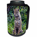 3dRose Danita Delimont - Jaguar - Brazil, Mato Grosso, The Pantanal, jaguar resting by the Cuiaba River. - Can Cooler Bottle Wrap (cc_258365)
