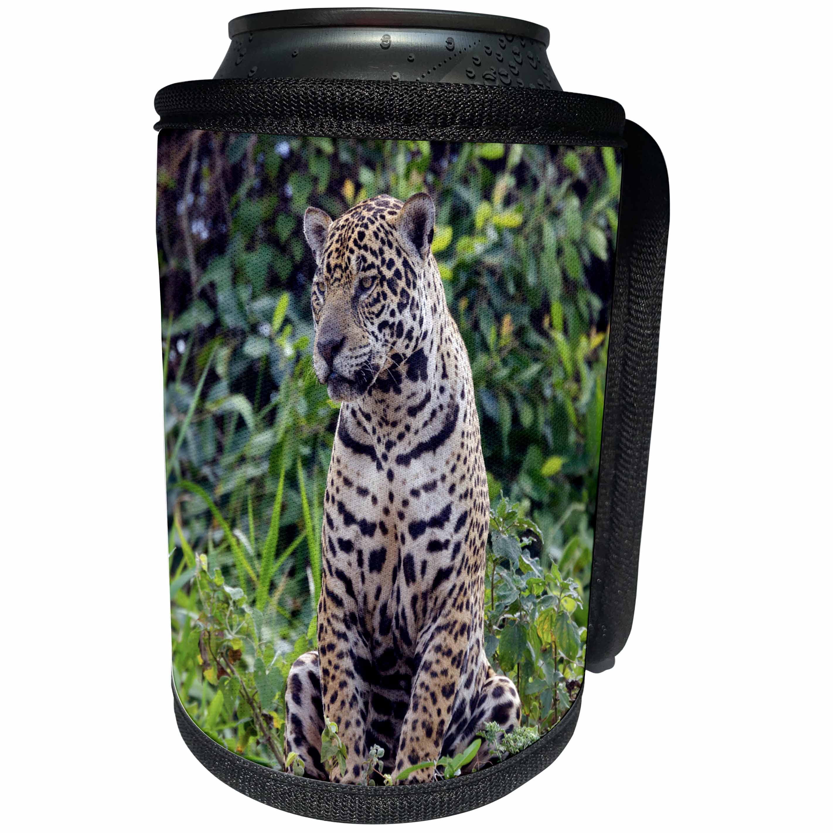 3dRose Danita Delimont - Jaguar - Brazil, Mato Grosso, The Pantanal, jaguar resting by the Cuiaba River. - Can Cooler Bottle Wrap (cc_258365)