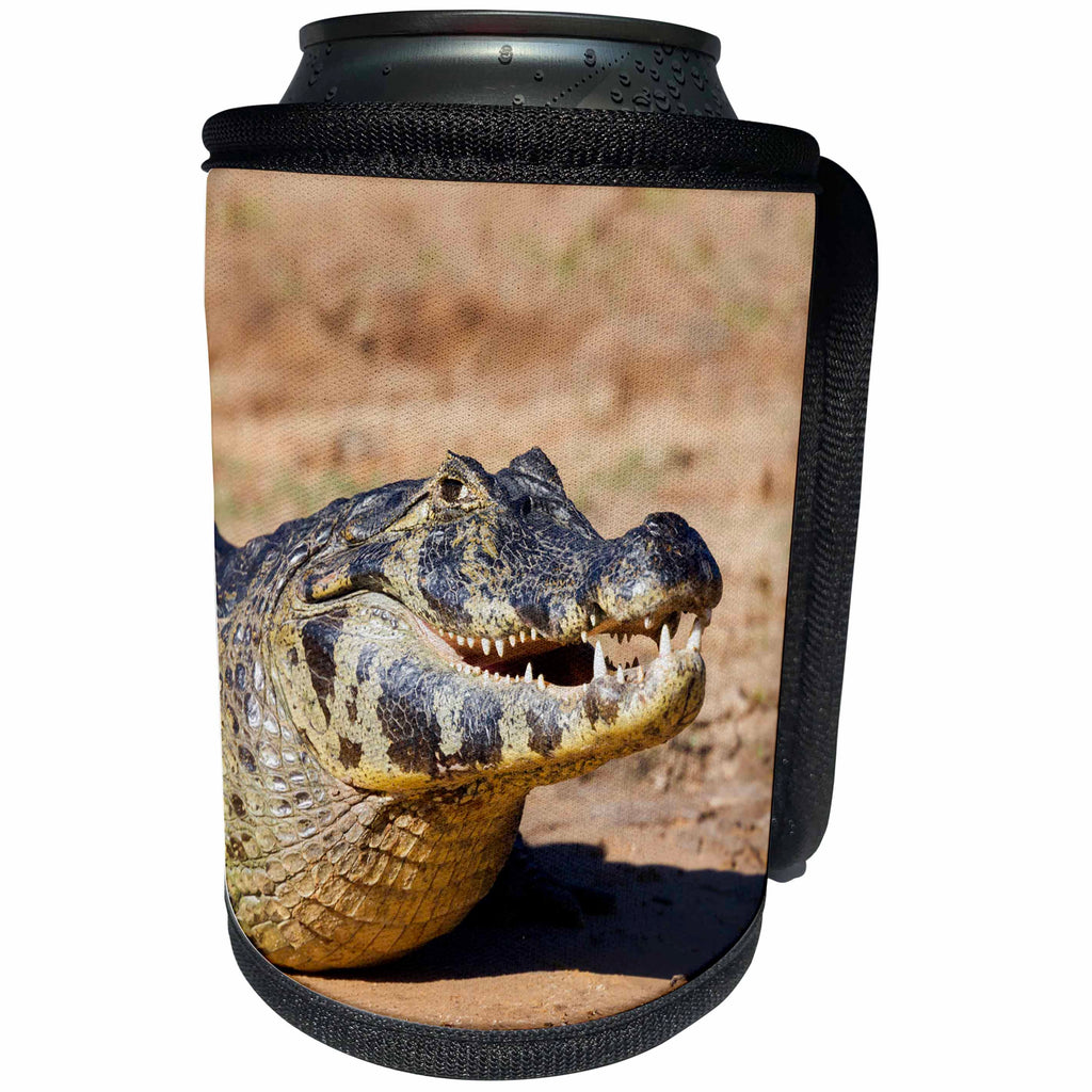 3dRose Danita Delimont - Reptiles - Brazil, Mato Grosso, The Pantanal, Rio Cuiaba, Black caiman. - Can Cooler Bottle Wrap (cc_258366)